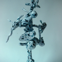 Morgan Bulkeley'swork, Birch Figure